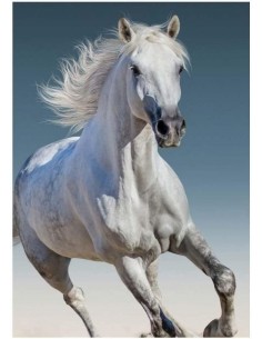 Plaid polaire cheval blanc