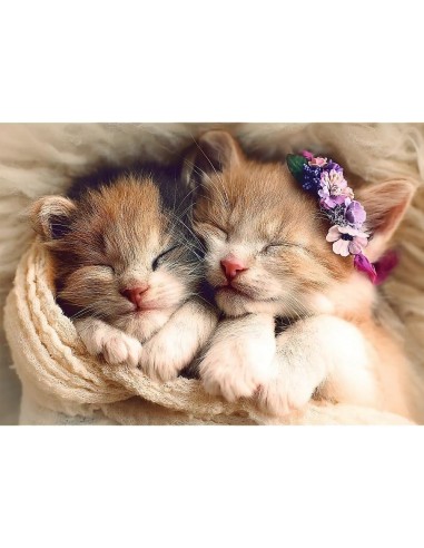 Puzzle 500 piéces équipe de chats