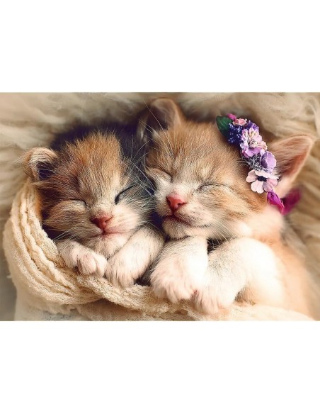 Puzzle 500 piéces équipe de chats