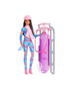 Coffret poupée Barbie et sa luge