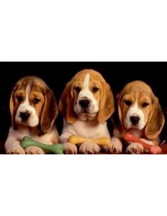 DRAP DE BAIN LES CHIENS 100x180 cm