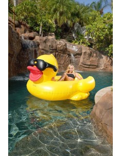 CANARD GEANT Lunette 2