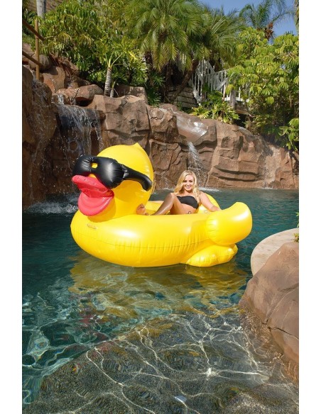 CANARD GEANT Lunette