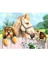 ANIMAUX