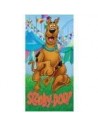 Serviettes de bain 